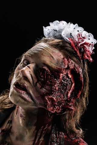 Illustration for article titled Face Off - Halloween in September